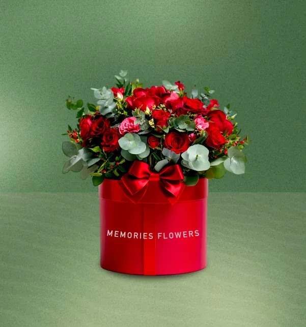 Portfolio Case Study 7